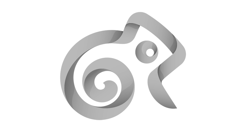 Kameleo Logo 2